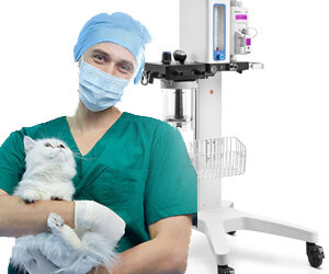 Choosing the Right Veterinary Anesthesia Gas Machine