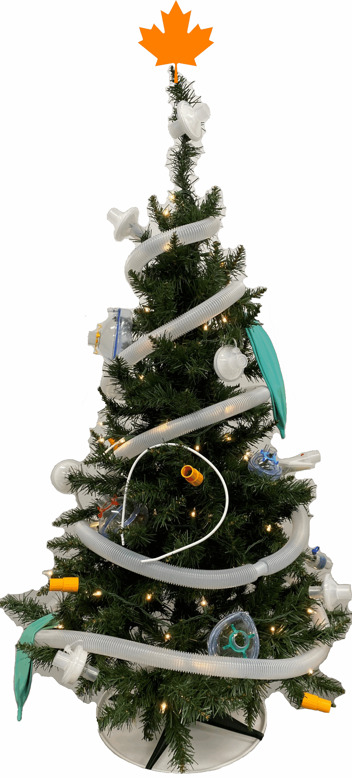 Image is not available