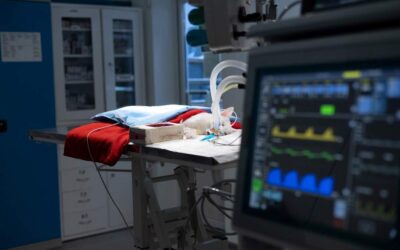 What High-Quality Veterinary Surgical Equipment Really Means